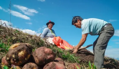 Día del Campesino: el rol clave de quienes alimentan al Perú y protegen sus recursos naturales